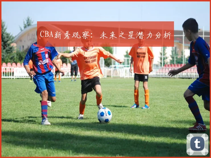 CBA新秀观察:未来之星潜力分析